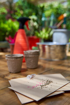 Seeds on envelope kept on wooden table at backyard