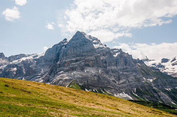 Grindelwald, Wetterhorn, Grosse Scheidegg, Wellhorn, Gistellihorn, Bärglistock, Oberer Grindelwaldgletscher, First, Berner Oberland, Alpen, Wanderweg, Höhenweg, Sommer, Schweiz