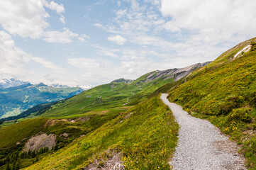Grindelwald, Berner Oberland, Schwarzhorn, First, Wanderweg, Höhenweg, Wanderferien, Grosse Scheidegg, Alpen, Schweizer Berge, Sommer, Schweiz