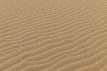 Fototapeta na wymiar Beautiful Ripple marks on droughty Sand Dunes in Desert Area (sand waves). In geology, ripple marks are sedimentary structures and indicate agitation by water (current or waves) or, wind