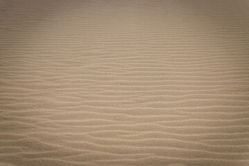 Fototapeta na wymiar Droughty Sand Dunes Desert with Ripple marks (sand waves). In geology, ripple marks are sedimentary structures and indicate agitation by water (current or waves) or, wind. Background for Copy space