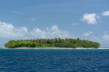 magnificent view of the coral island with a white sandy beach and dense vegetation