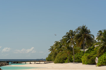 magnificent view of the coral island with a white sandy beach and dense vegetation