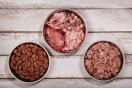 Choice between BARF (biologically appropriate raw food), prepared canned food and dry food pellets for dog diet