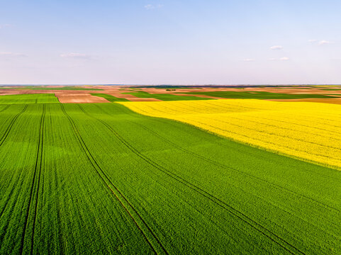 Aerial view of wheat and oilseed rape fields in summer
