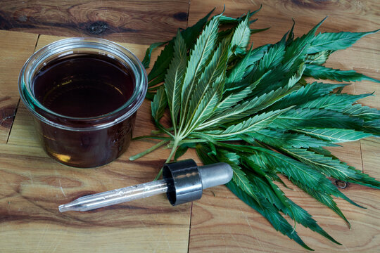 Cannabis leaves and homemade CBD oil