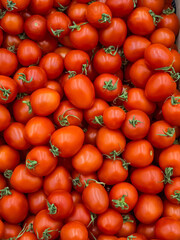 tomatoes are colorful delicious sweet healthy vegetables