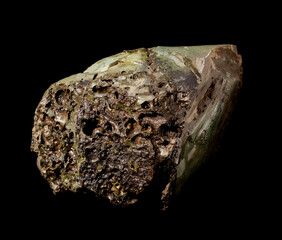 Dark green black volcanic glass obsidian mineral from Kamchatka, Russia. A backlight photo of a stone isolated on black. Geology websites, stone collection catalog, Natural Science museum wall chart