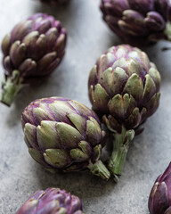 Fototapeta premium Purple Baby Artichoke 6