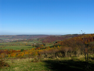 Bunte Blaetter verschoenern den Herbst. 
Colorful leaves brighten up the autumn. 