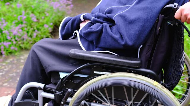 male nurse in park is driving elderly woman of 70-75 years old European Caucasian appearance in wheelchair, concept of care for skinny people, life of sedentary people with disabilities, paralysis