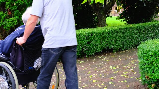 male nurse in park is driving elderly woman of 70-75 years old European Caucasian appearance in wheelchair, concept of care for skinny people, life of sedentary people with disabilities, paralysis