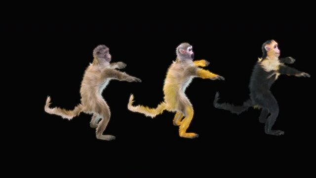 Monkey Dancing, Chinese New Year, dragon, happy new year, 3d rendering, Animation Loop composition 3d mapping cartoon, Included in the end of the clip with Alpha matte.