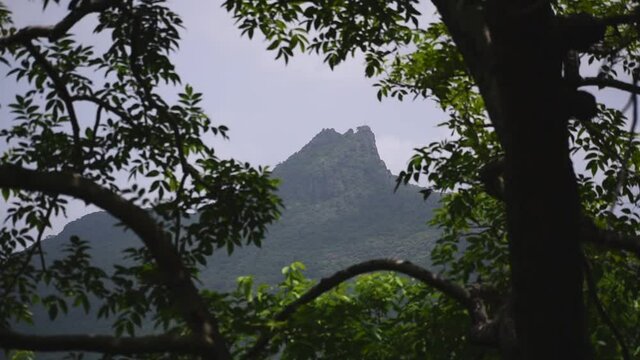 View of Mountain cliff with clear blue sky from tree leaves frame. Girnar hills, Junagadh, India.