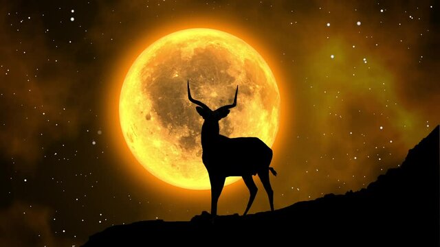 Silhouette of a deer under the light of the full moon