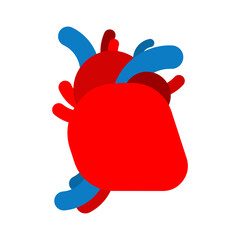 Anatomical heart isolated. Internal organ vector illustration