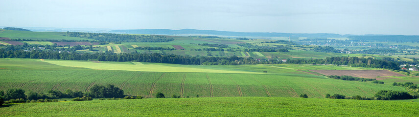 Fototapeta na wymiar Panorama of meadows, fields and the small town of Rohatyn on a sunny day in summer in Ukraine