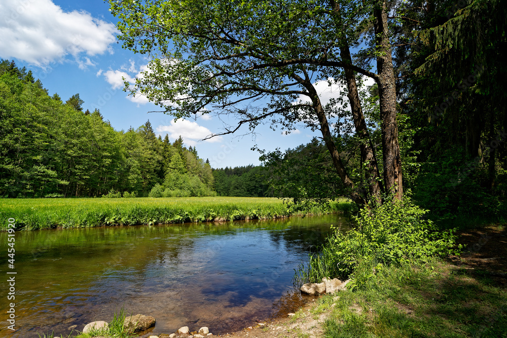 Wall mural river