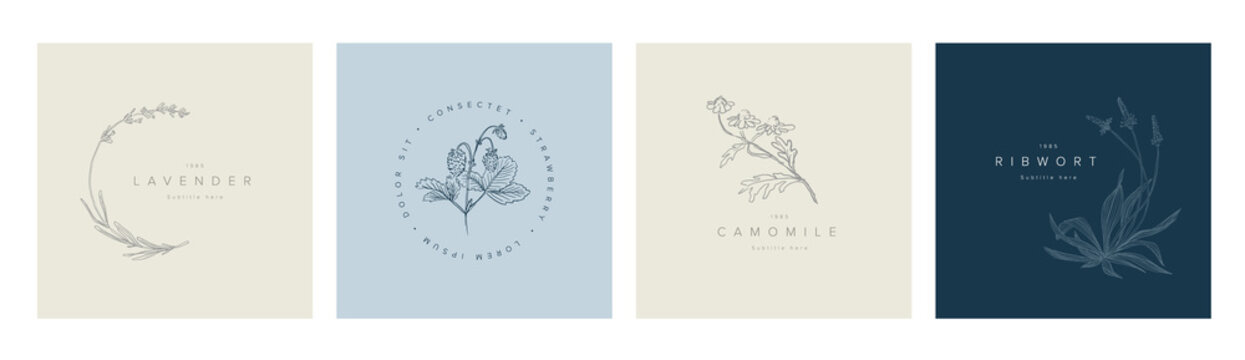 Minimalist floral emblem title frames collection