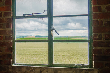 Fototapeta premium beautiful landscape view of fields and cloudy sky seen through an old metal framed garage window 