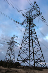  high-voltage  power lines at clouds and pine forest.