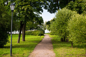 sandy alley in the park