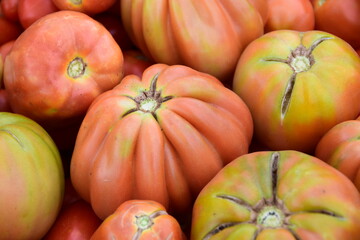 Pomodori cuore di bue