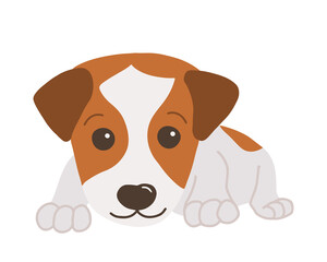Little jack russel terrier. Cartoon style. Vector isolated on white background