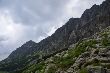 Sharp green grassy rocky mountain peaks of the High Tatra mountains during a cloudy day. hiking and adventure