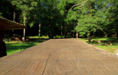 Wooden plank, old and dry. Selective focus. Nature and forest in background is blurry. Close up and isolated. Stockholm, Sweden, Europe.