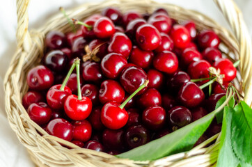 ripe cherries in a basket, free space