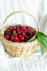 basket with ripe cherries on a light background, a nice place