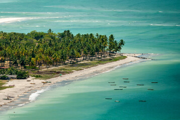 Coconut grove on the island of Itamaraca, Pernambuco, Brazil on March 10, 2010.