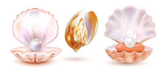 Pearl shell isolated on white background. Valuable oyster seashhel. Realistic expensive art. Vector illustration.