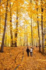 walk in the park