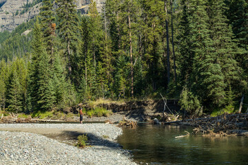 Man fly-fishing, Lamar River, Lamar Valley, Yellowstone National Park, Wyoming, USA
