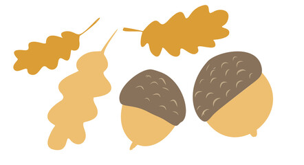 Acorns with oak leaves isolated on white background. Brown autumn design. Doodle art. Vector Illustration.