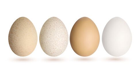 Egg collection in realistic style isolated on white background. Whole eggs in different colours. Decorative objects for Easter design