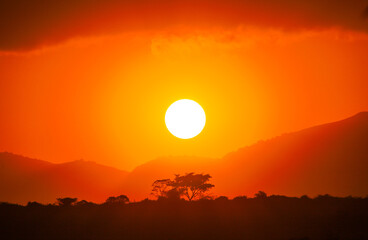 African Sunset