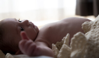 Naklejka premium Beautiful cute baby, happy and surrounded by a fluffy natural wool blanket