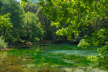 Vrelo Bosne nature green park in Sarajevo with water and ducks 