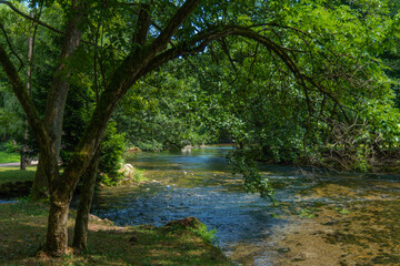 Naklejka premium Vrelo Bosne nature green park in Sarajevo with water and ducks 