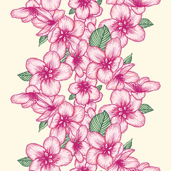 Seamless floral pattern, apple flowers light botanical vector background illustration