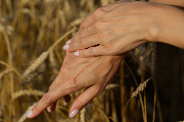 hands of the farmer