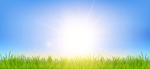 Fototapeta na wymiar Beautiful spring or summer background with green grass and sunrise landscape. Field under the sunlight. Realistic wallpaper for banner, poster, flyer. Vector illustration EPS10