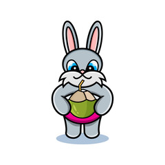 cartoon animal cute rabbit holding a coconut