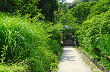 浄瑠璃寺　参道と山門　京都府木津川市