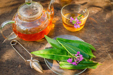 cup of herbal tea with fresh leaves and flowers Matthiola incana, Brompton stock, common stock, hoary stock, ten-week stock, and gilly-flower tea with fresh quotes, which can give an antiseptic effect