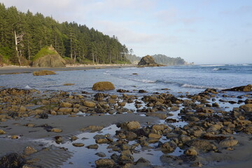 Situated along the Pacific Coast, Second Beach is one of the three beaches part of the La Push area to the Northwest of Washington.