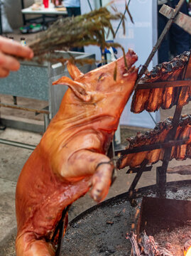 cerdo asado al carb&oacute;n en asador de cruz.

cerdo ahumado al carb&oacute;n en asador de cruz.

cerdo asado.

cerdo asado en parrillada campestre.